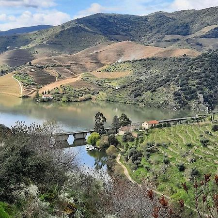 Гостьовий будинок Quinta Da Ferradosa Wines Сан-Жуан-да-Пешкейра Екстер'єр фото