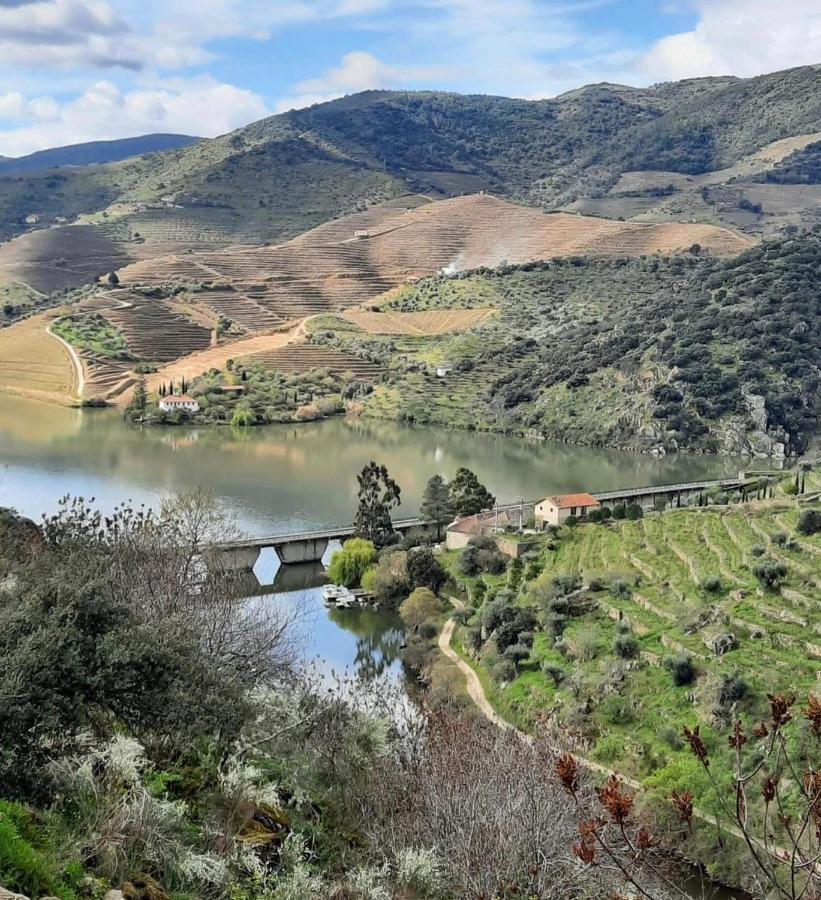 Гостьовий будинок Quinta Da Ferradosa Wines Сан-Жуан-да-Пешкейра Екстер'єр фото