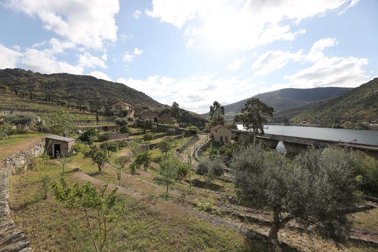 Гостьовий будинок Quinta Da Ferradosa Wines Сан-Жуан-да-Пешкейра Екстер'єр фото
