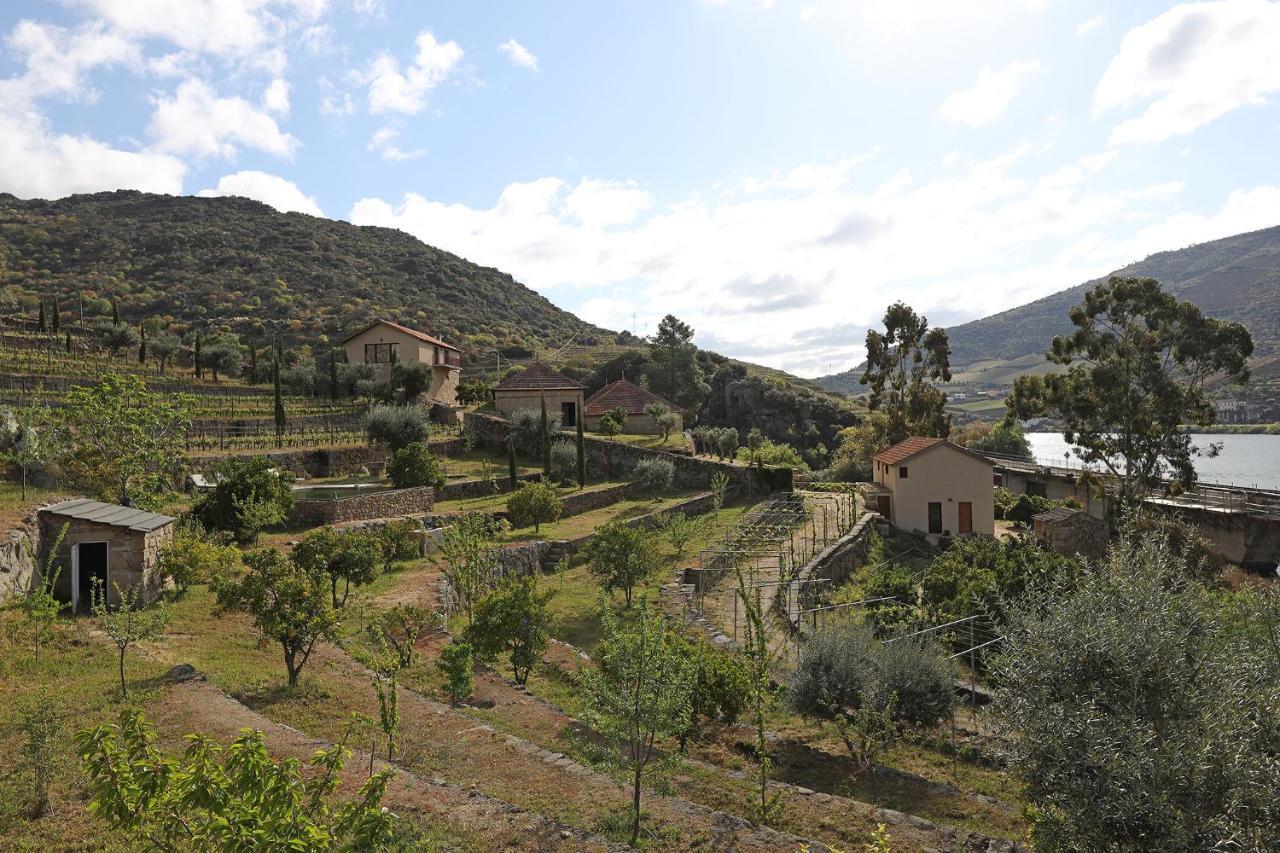 Гостьовий будинок Quinta Da Ferradosa Wines Сан-Жуан-да-Пешкейра Екстер'єр фото