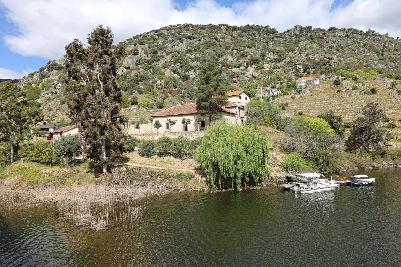 Гостьовий будинок Quinta Da Ferradosa Wines Сан-Жуан-да-Пешкейра Екстер'єр фото