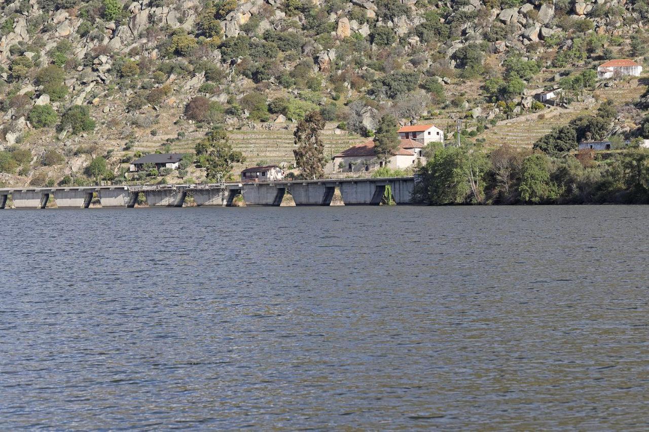 Гостьовий будинок Quinta Da Ferradosa Wines Сан-Жуан-да-Пешкейра Екстер'єр фото