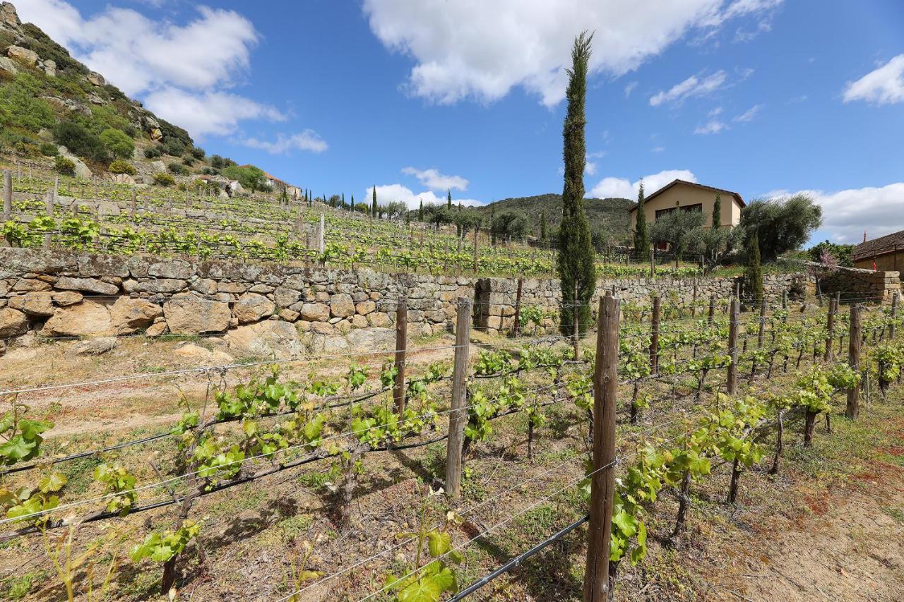 Гостьовий будинок Quinta Da Ferradosa Wines Сан-Жуан-да-Пешкейра Екстер'єр фото