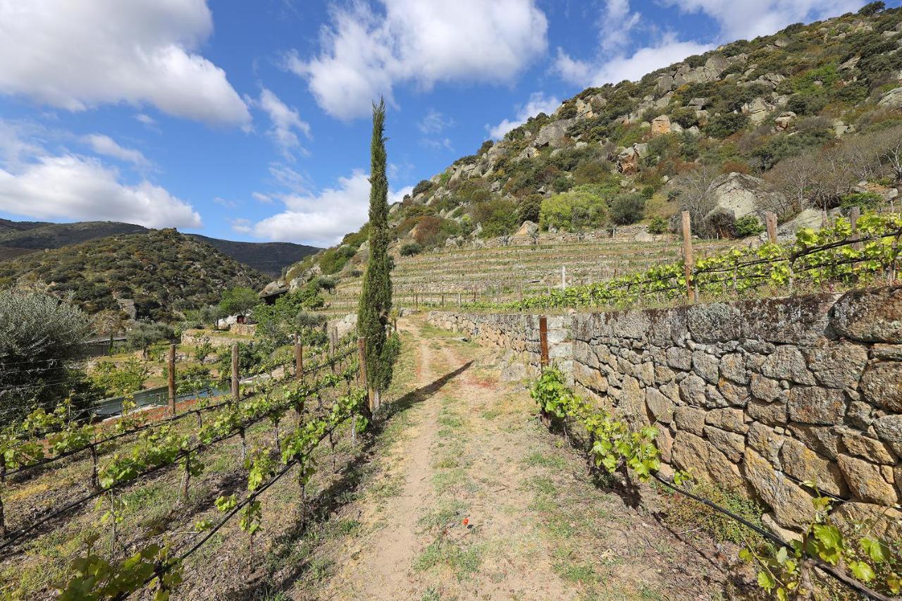 Гостьовий будинок Quinta Da Ferradosa Wines Сан-Жуан-да-Пешкейра Екстер'єр фото
